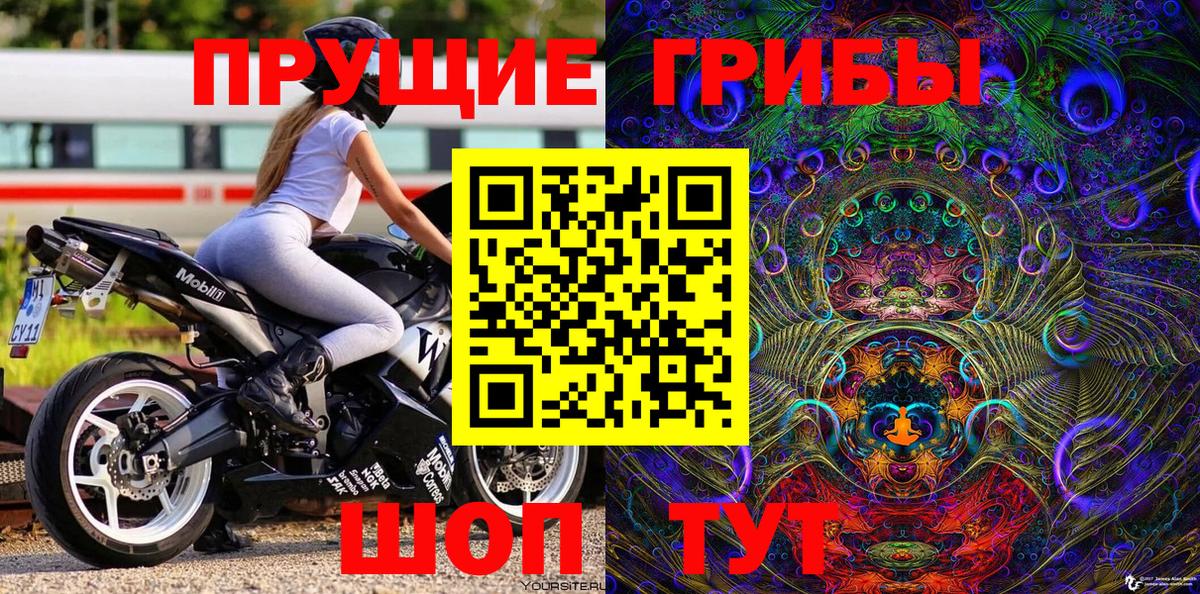купить наркоту  Псилоцибиновые грибы мицелий  Вход с VPN  Кимовск 