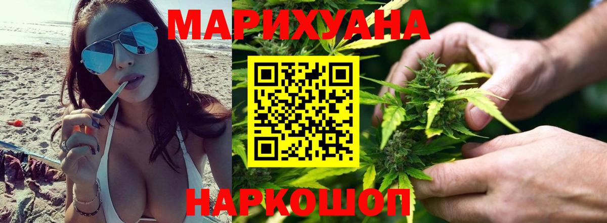 Бошки Шишки план Кимовск